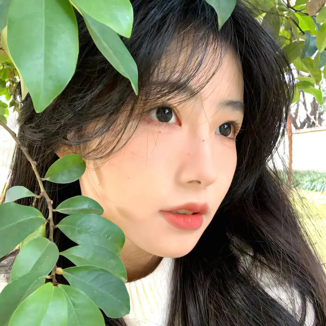 伊拉克碎片